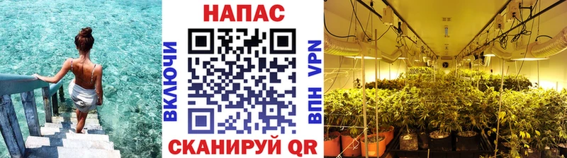 Наркотические вещества Лесозаводск Бошки Шишки Псилоцибиновые грибы АМФЕТАМИН Меф мяу мяу СОЛЬ